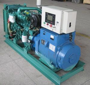 大安镇发电机出租 大安镇发电机出租